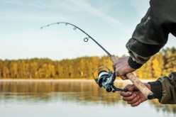 Where to Find the Best Deals at Bass Fishing Pro Shops